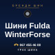 Шини Fulda WinterForse