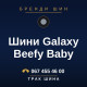 Шини Galaxy Beefy Baby