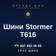 Шини Stormer T616